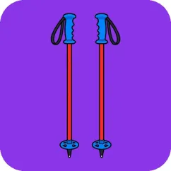 FB体育赛事资讯:近期赛果与焦点动态